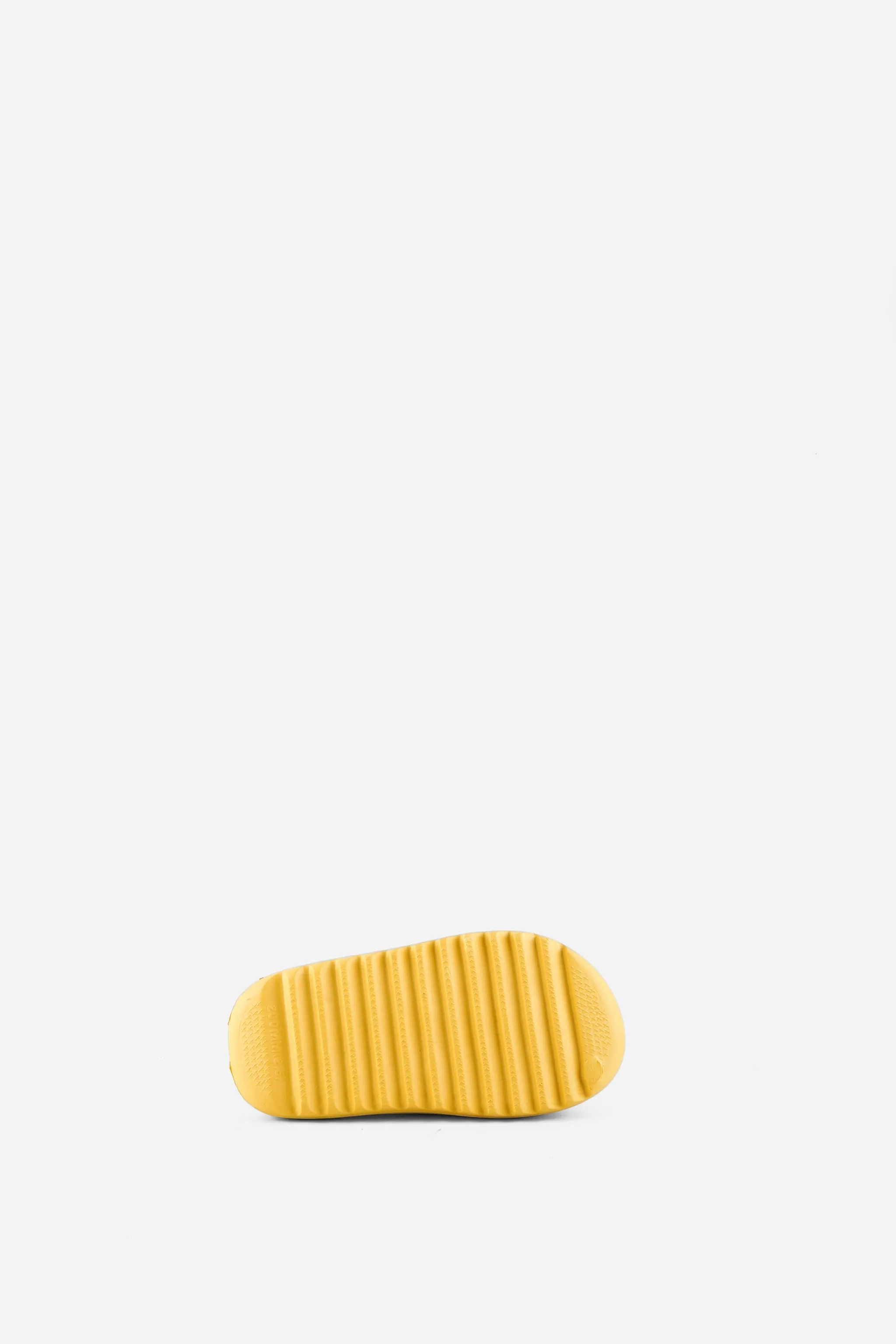 Cozy 2JS