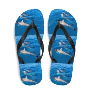 Flip-Flops