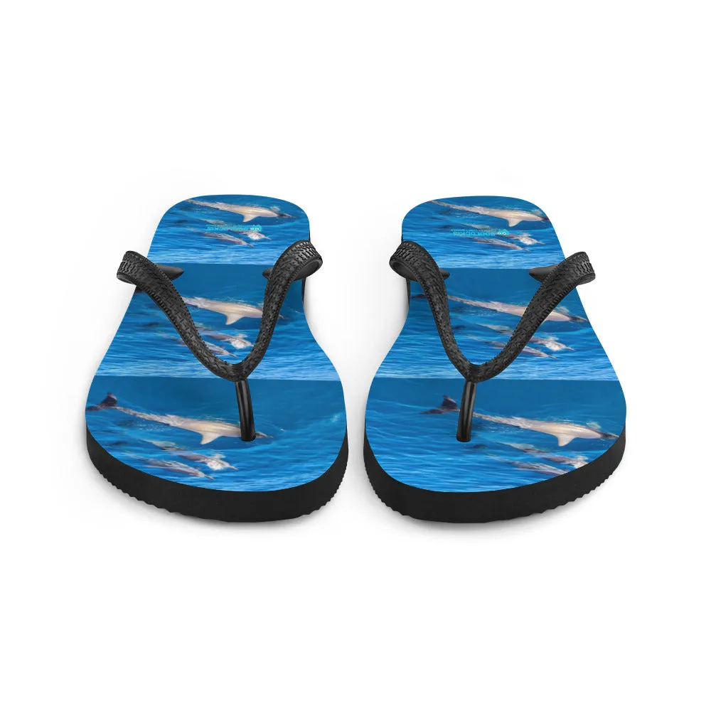Flip-Flops