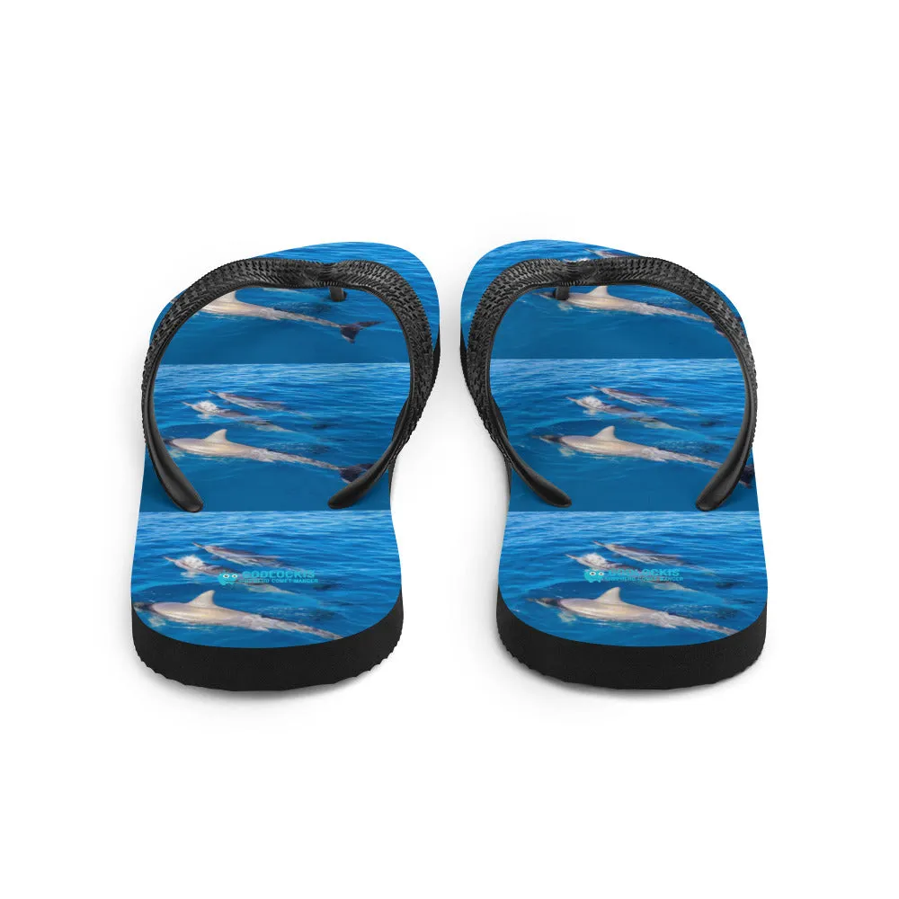 Flip-Flops