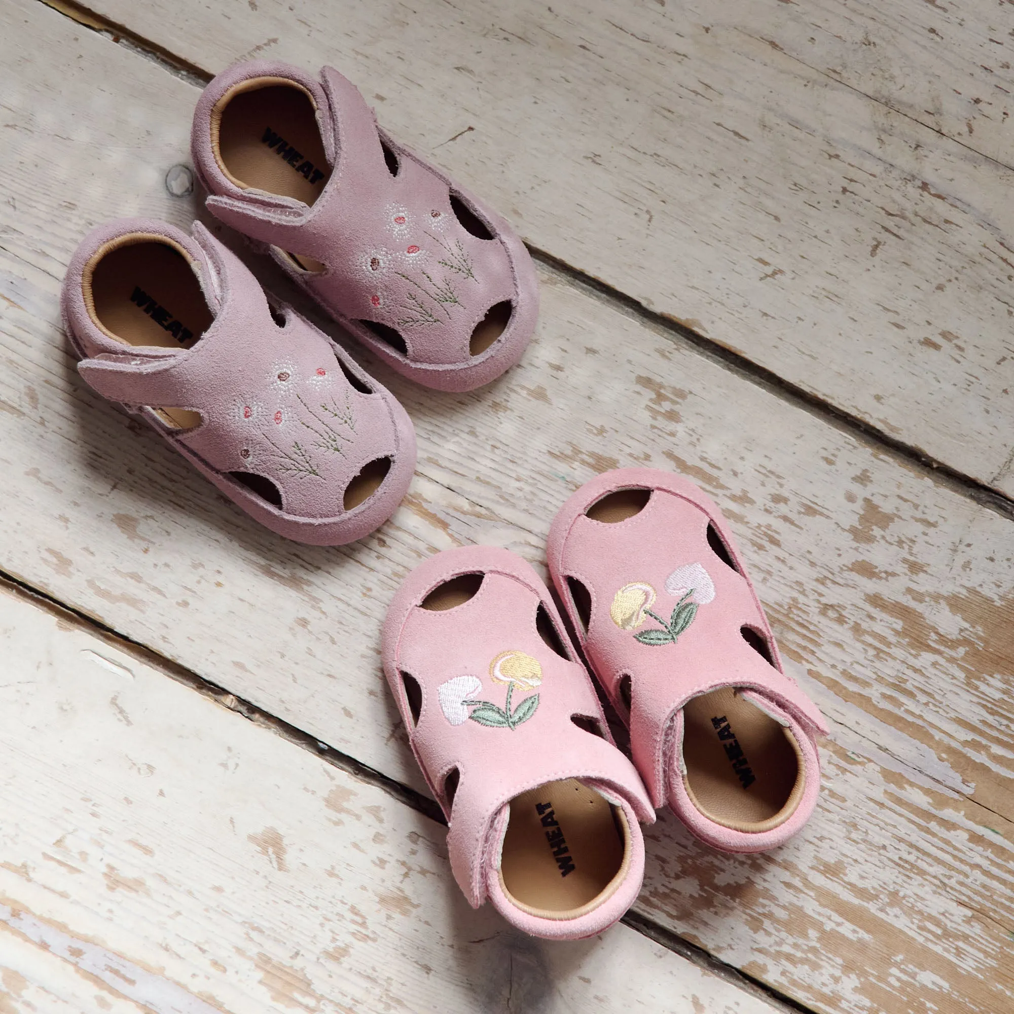 Indoor Sandal Pax - rose frost