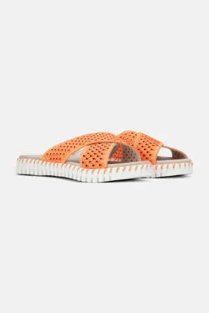 Sandalen - Mango Sorbet