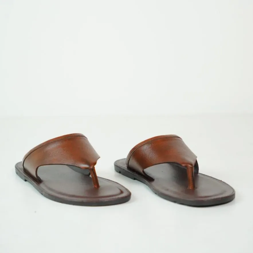 THE SHADED BROWN - 2479